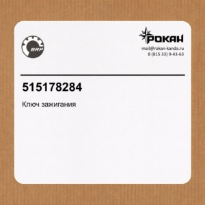 BRP Ключ зажигания (Dess)